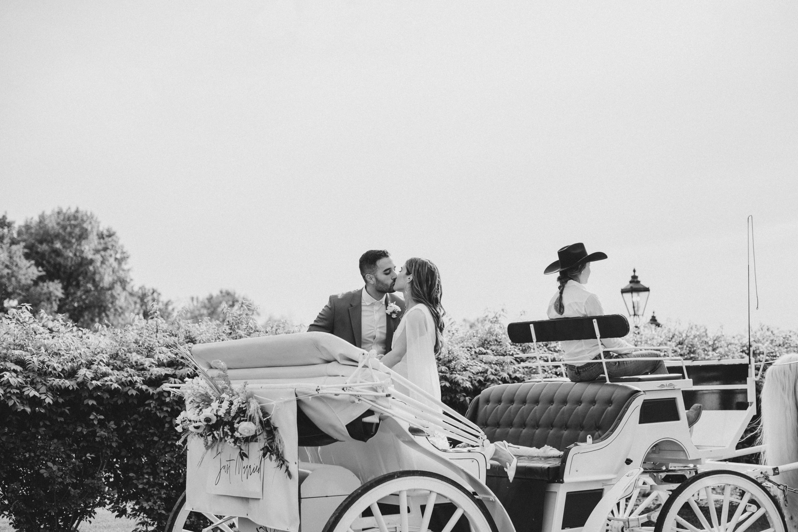 horse carriage on wedding day