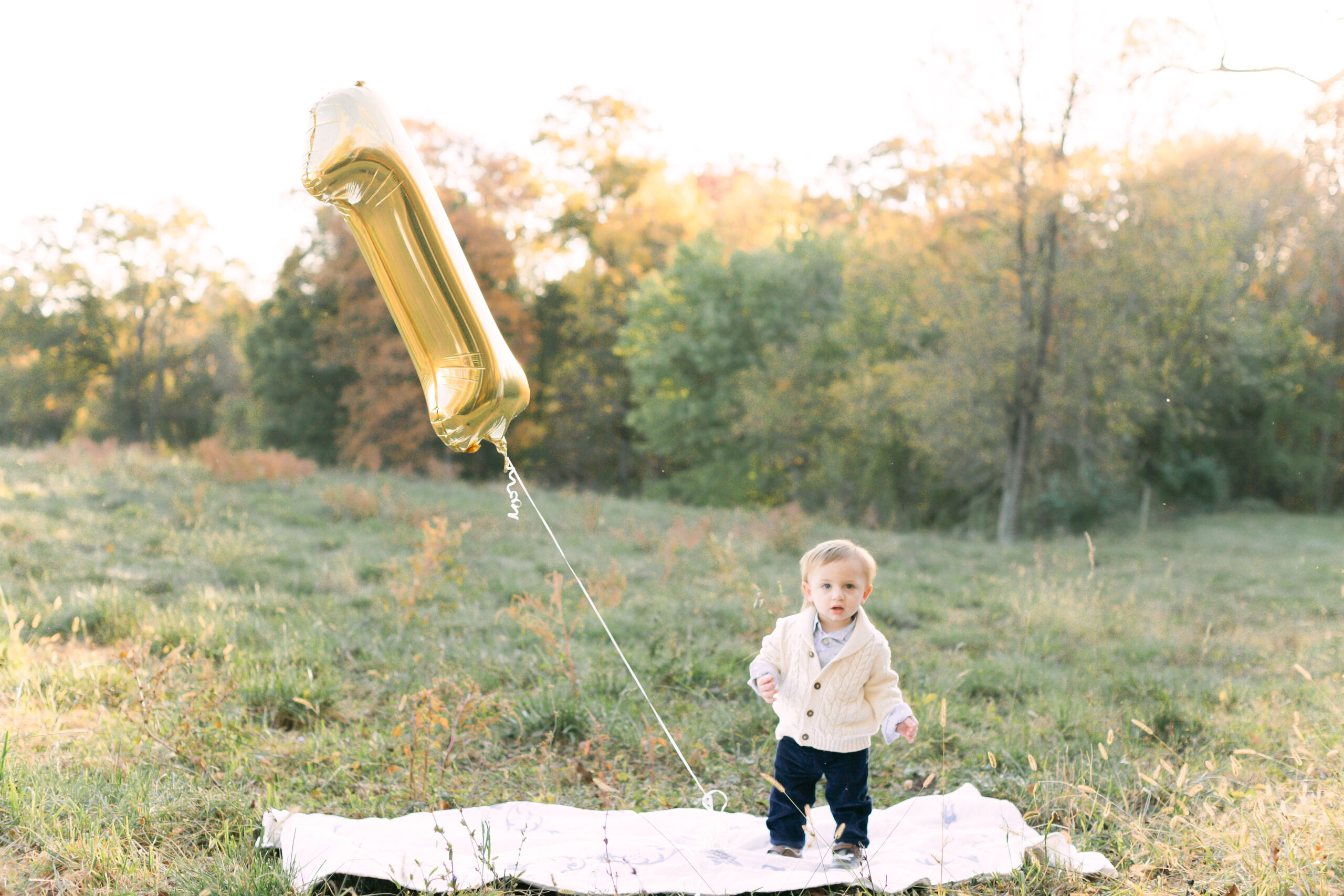 One year old photos w gold one year balloon farm meadow with white blanket toddler standing up